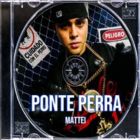 Ponte Perra
