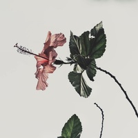 Isn't Easy to Let You Go