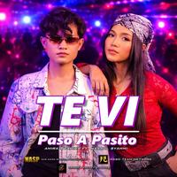 Te Vi Paso A Pasito
