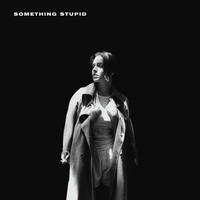 Something Stupid - Live