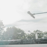 Chasing Loops