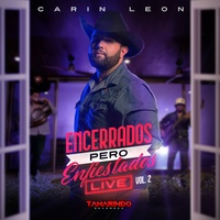 Si Tu Amor No Vuelve - En Vivo