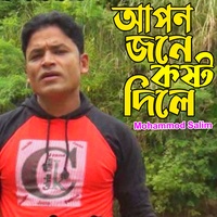 আপন জনে কষ্ট দিলে