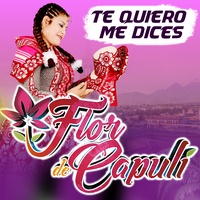 Te Quiero Me Dices