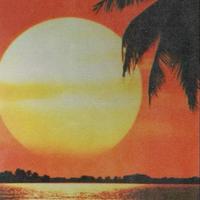 beaan(june)