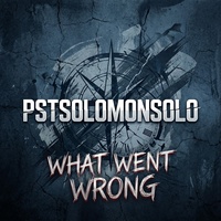 WHAT WENT WRONG