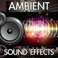 City Ambience (Downtown Cars Police Siren Ambience Background Noise Soundscape Clip) [Sound Effect]