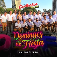 Historia de Amor - En Vivo