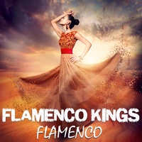 Flamenco - Flamenco