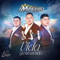 Vida Ya No Es Vida