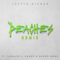 Peaches - Remix