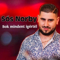 Sok mindent ígértél