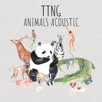 Panda - Acoustic