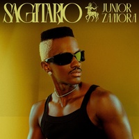 Sagitario (Tik Tok)