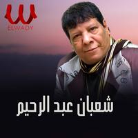 انا بكره اسرئيل - Tiktok Only