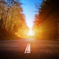 The Hope