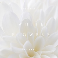 White Flowers