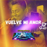 Vuelve Mi Amor