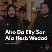 Aho Da Elly Sar Ala Hesb Wedad