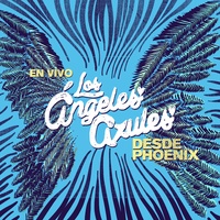 Nunca Es Suficiente - En Vivo Desde Phoenix