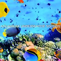 Aquarium Underwater Sounds (feat. Scuba Diving Sounds, Sound Effects FX, Special Effects Soundscapes & The Nature FX)