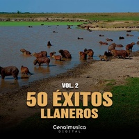 Llano Es Llano