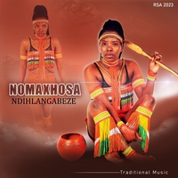 Ngemini ezinzima