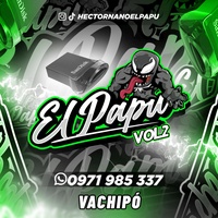 Vachipó