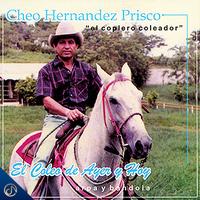 Voy a Volver a Colear