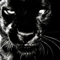 FEROCITY (Slowed)
