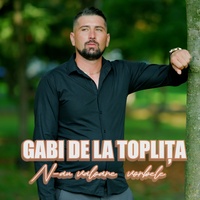 N-Au Valoare Vorbele