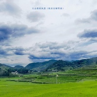 大自然的风景(纯音乐钢琴曲)