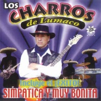 Simpática y Muy Bonita