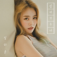 바람꽃