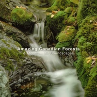 Nature sounds for deep sleep