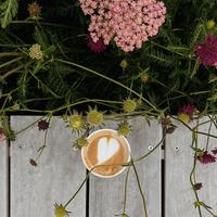 Love Story - Indila (Fairy Version)