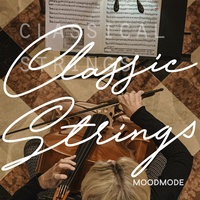 The Elegant Music