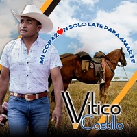 Vivan Los Toros Coleados