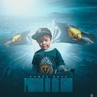 Pumas De Mi Vida