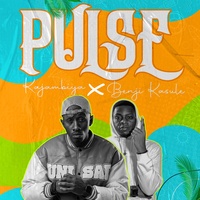 Pulse