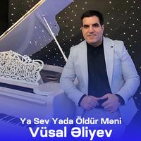 Ya Sev, Yada Öldür Məni