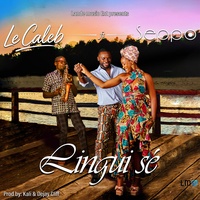 Linguise