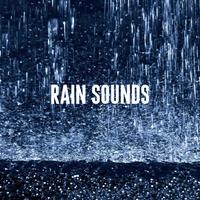 Rain Sounds