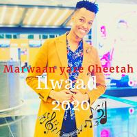 Jawi Caashaq