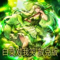 白菜对我笑 放克版 - Edit Version, Slowed