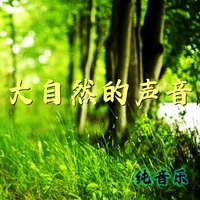 大自然的聲音 - 純音樂