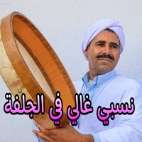 نسبي غالي في الجلفة