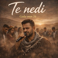 Te nedi
