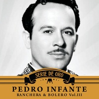 Osito Carpintero