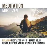 Chinese Instrumental